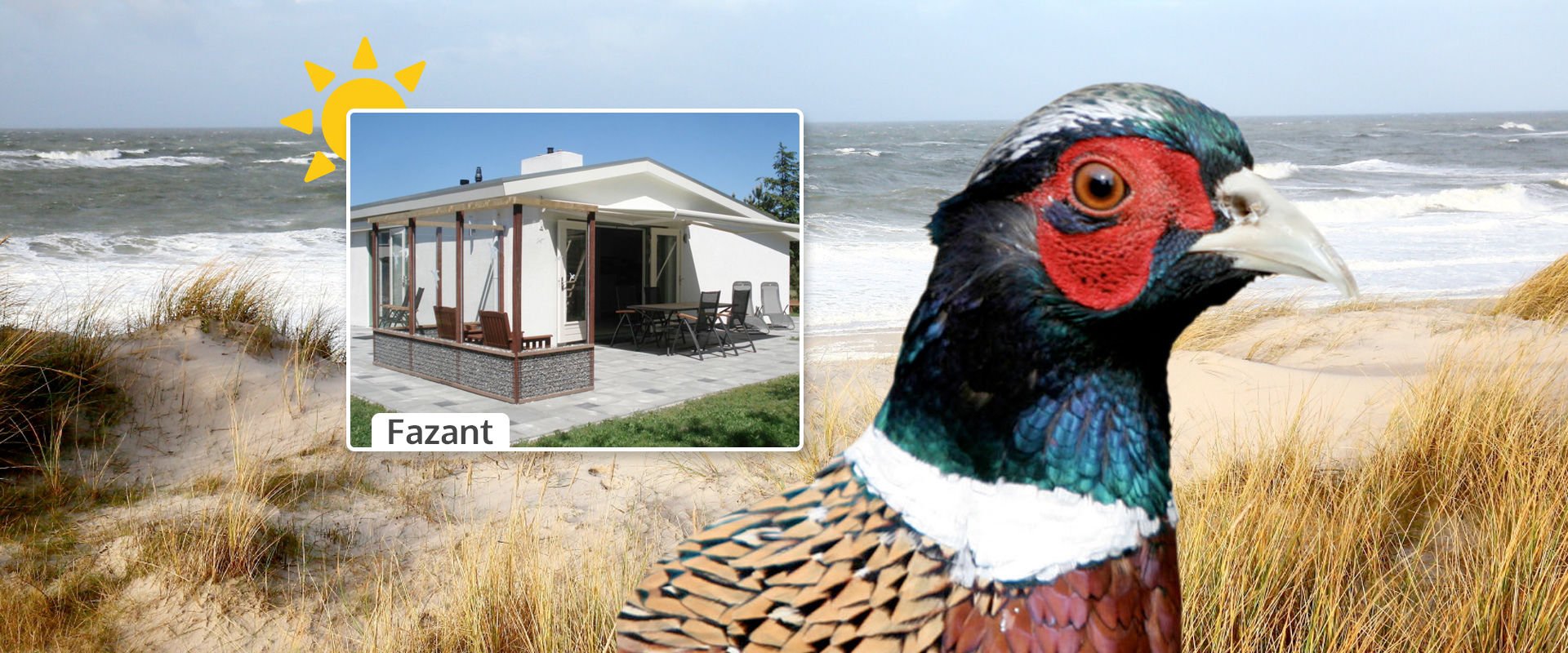 Fazant: Das große und gemütliche Ferienhaus auf Ameland